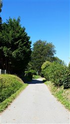 Chemin des Romains - Saint-Antoine-la-Fort